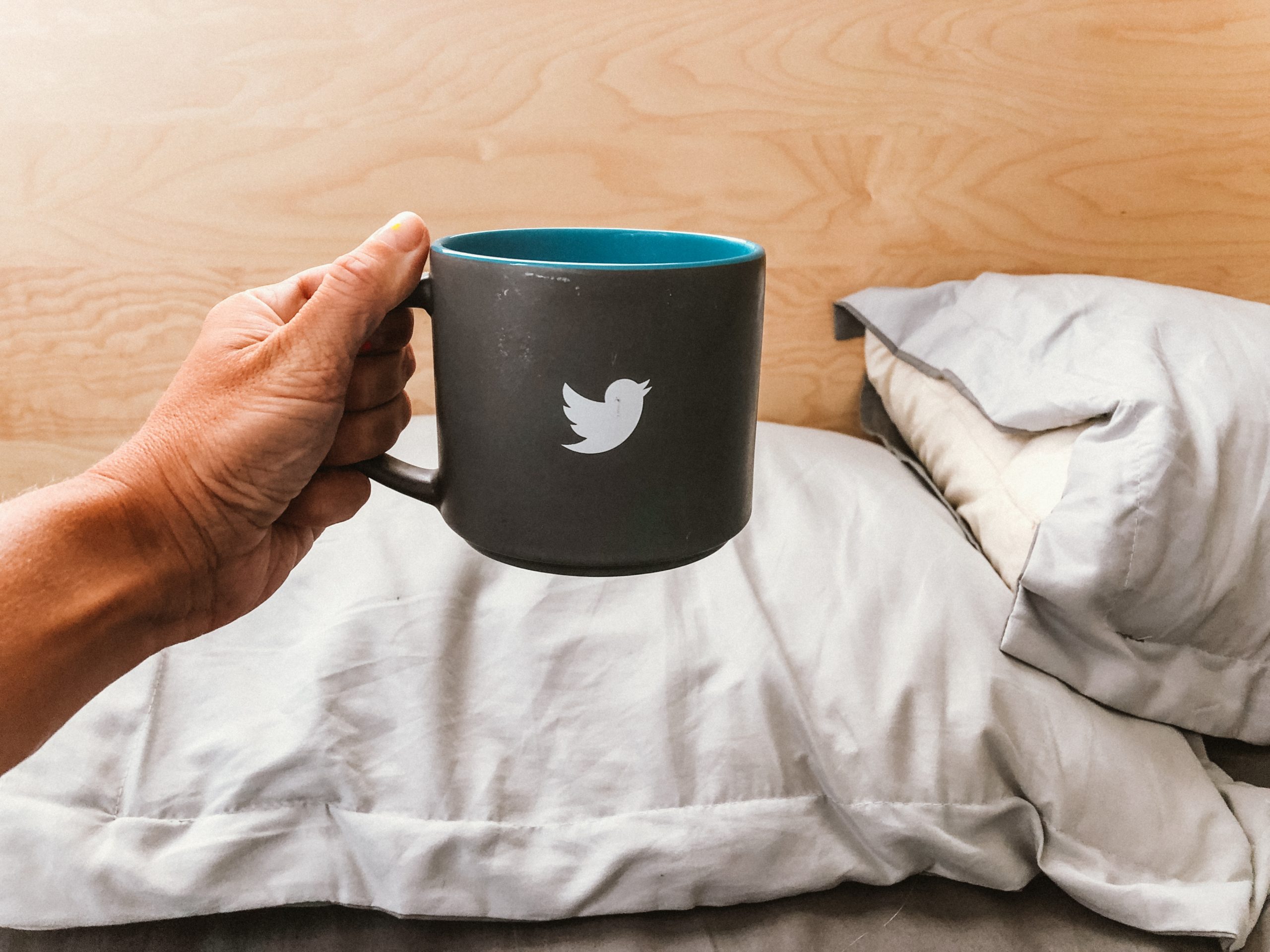 hand holding twitter mug