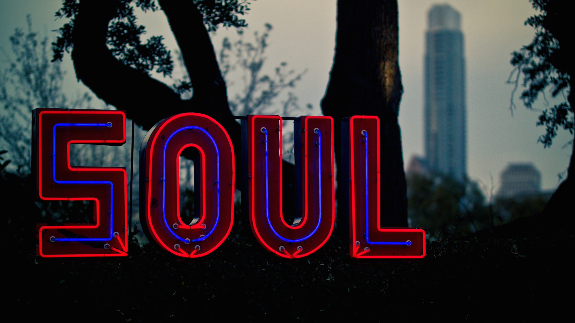 neon sign spelling out soul