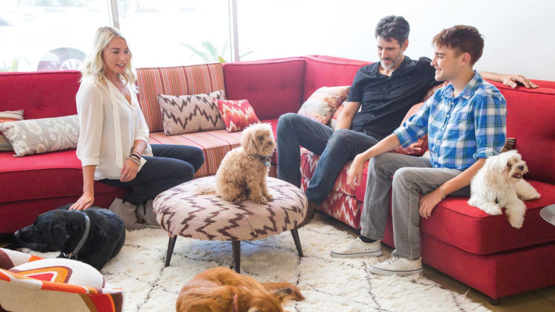 three people in a living room with dogs around