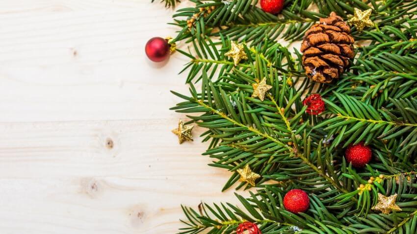 close up photo of a christmas tree