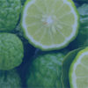 Bergamot Spice scent sm Bergamot Spice scent sm