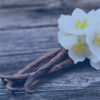 Bergamot Vanilla scent sm Bergamot Vanilla scent sm