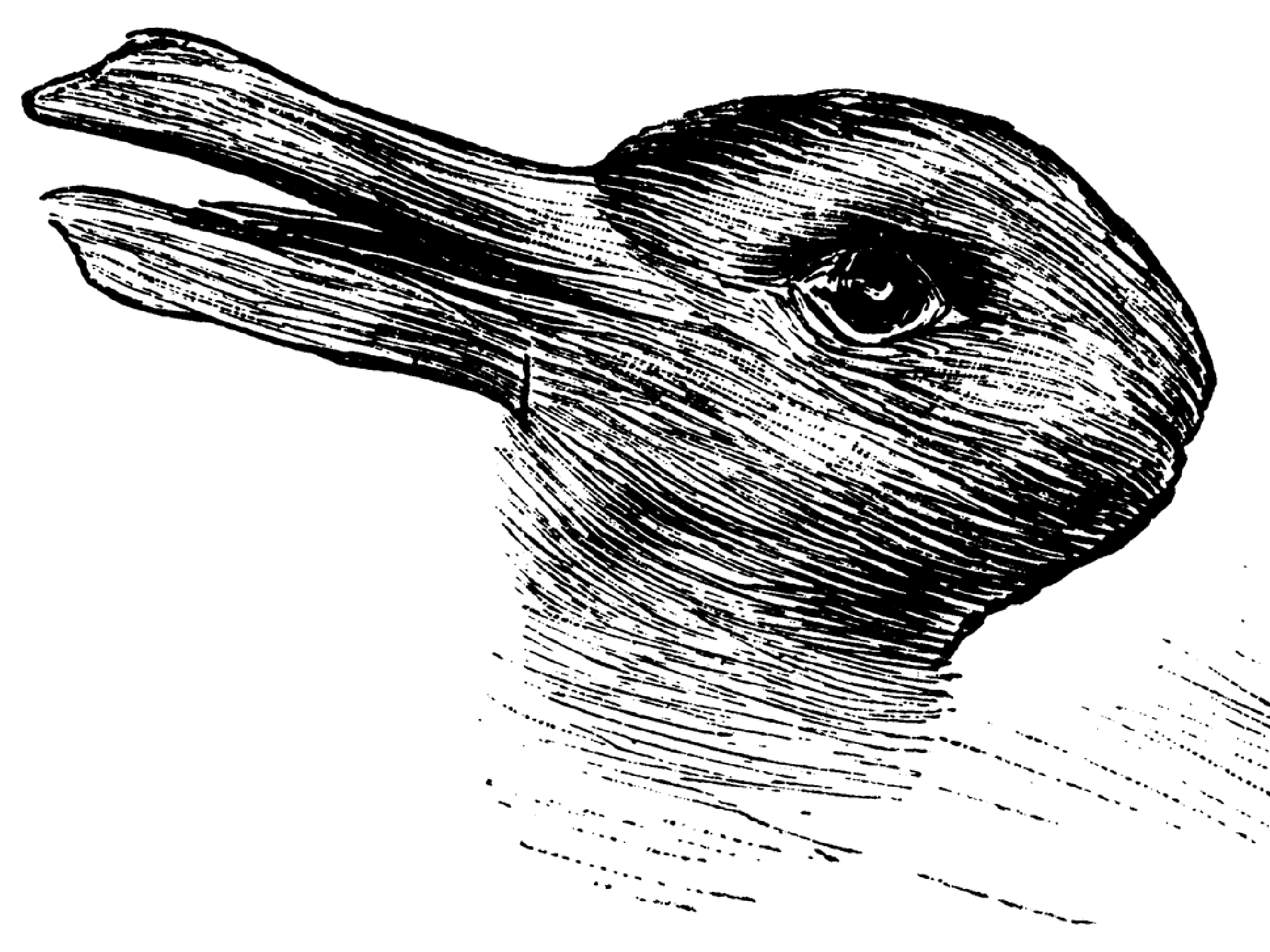 duck-rabbit.png