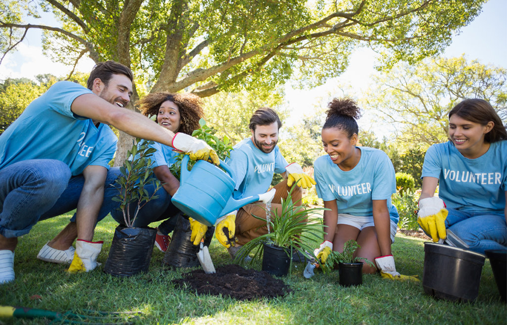 employees happy volunteering together planting