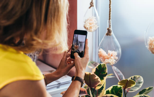 lady takes photo of a hanging plant